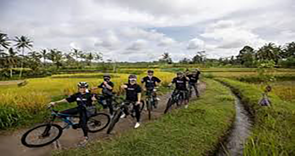 mountain bike view